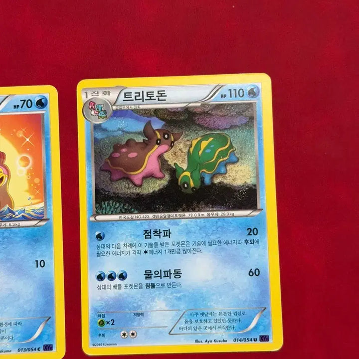 [BUNJANG] Pokemon Ancient Cards Grotle, Tritodon XY Set / 포켓몬 고대 카드 깝질무, 트리토돈 xy 세트