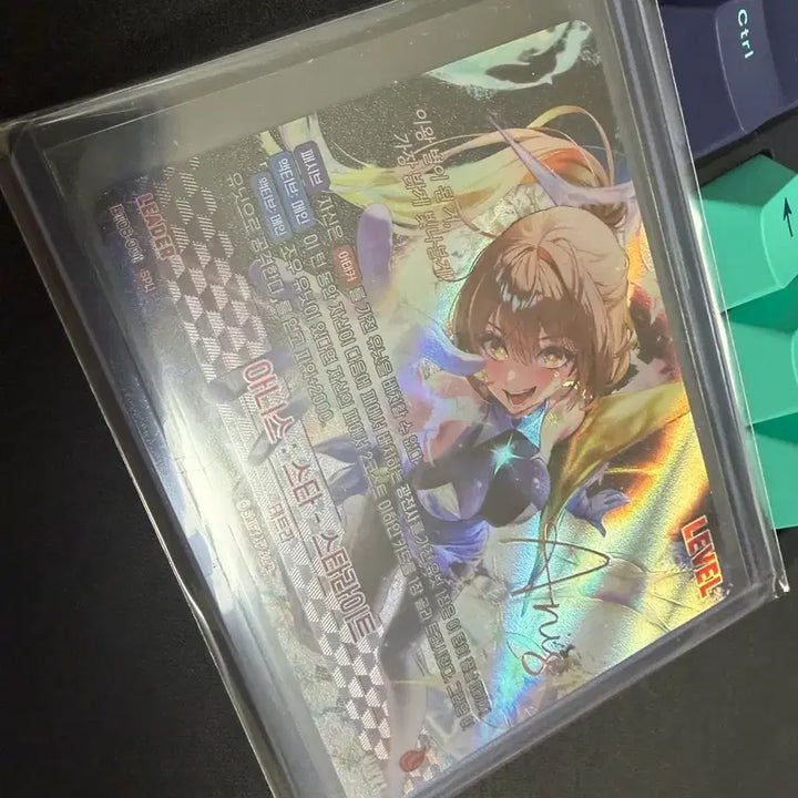 [BUNJANG] Nebel Arena Anis Another Leader Signed Card / 니벨아레나 아니스 spl