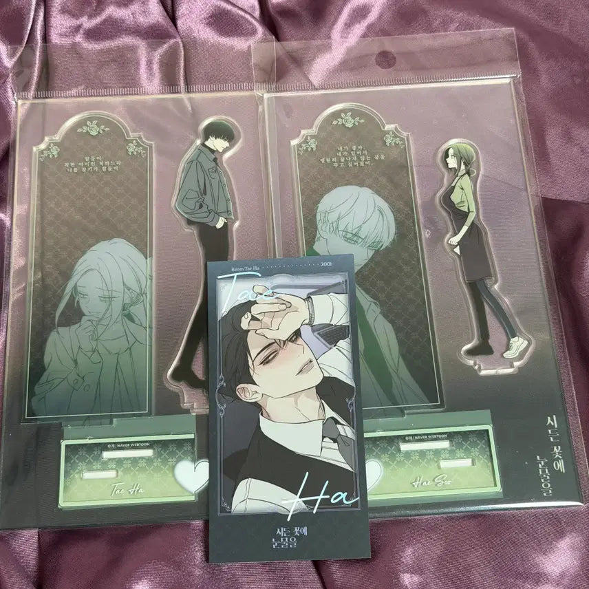 [BUNJANG] K-Pop Group SEED (Shrinking) Acrylic Standee Taeha, Haesu - Special Benefit Profile Ticket (1 Type) / 시든 꽃에 눈물을 팝업 2026 아크릴 스탠드 태하, 해수, 5특 특전 프로필 티켓 1종 태하
