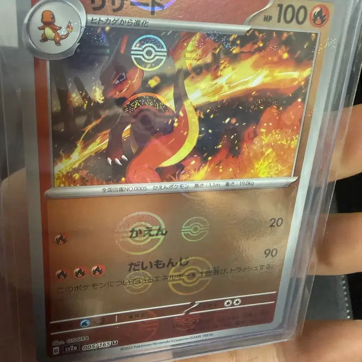 [BUNJANG] Charizard Bundle Set / 리자몽 일괄