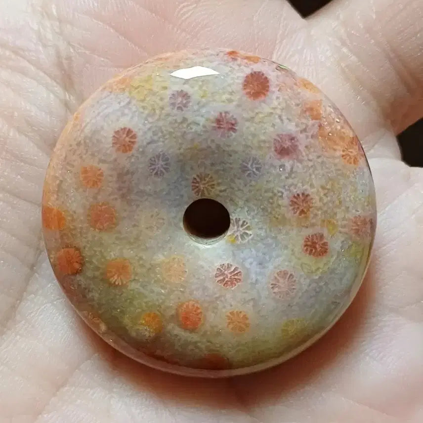 [BUNJANG] Fossil Coral Fossil Stone &