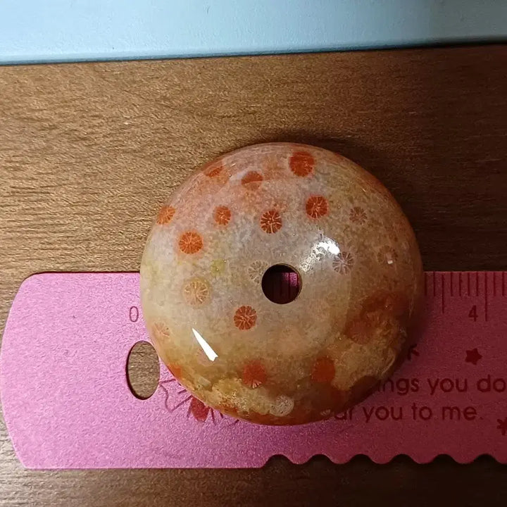 [BUNJANG] Fossil Coral Fossil Stone &