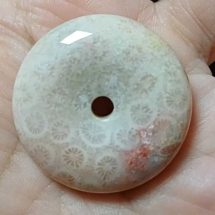 [BUNJANG] Fossil Coral Ammonite Pendant / 원석 산호 화석 포실 코랄 산호옥  평안구 B