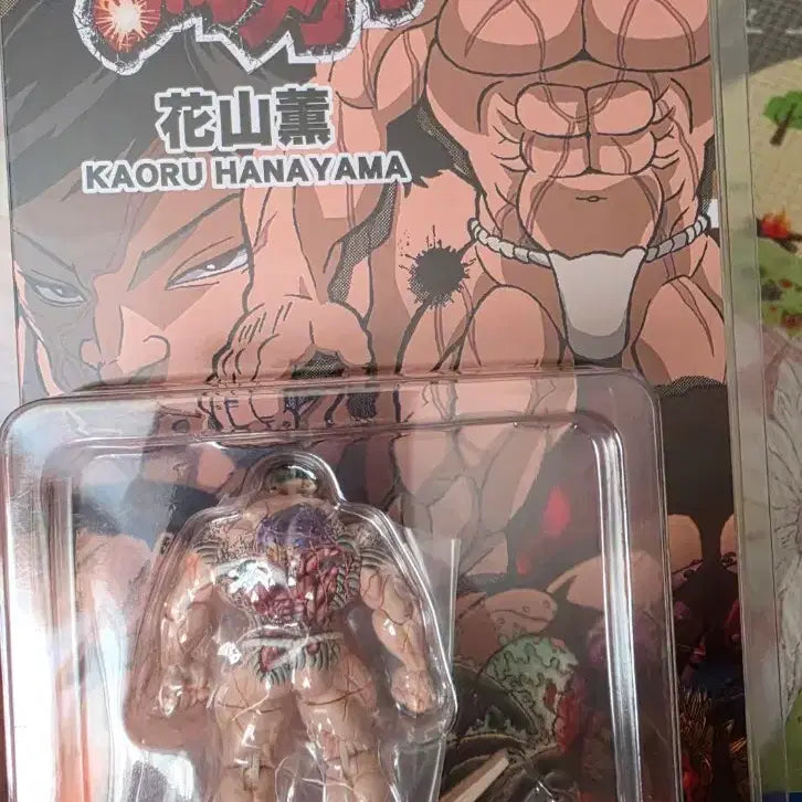 [BUNJANG] Hanayama Kaoru Sealed Figure / 하나야마 카오루 미개봉 피규어