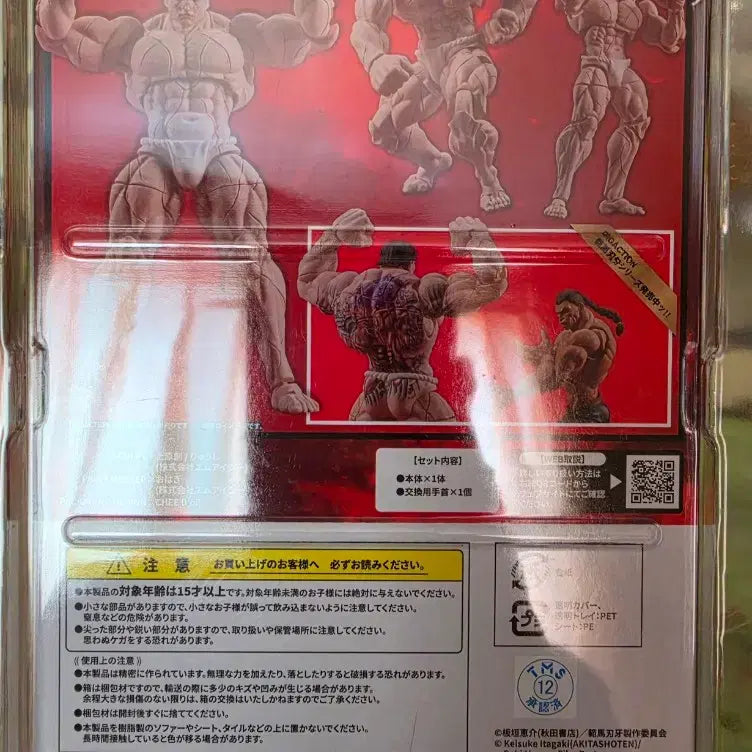 [BUNJANG] Hanayama Kaoru Sealed Figure / 하나야마 카오루 미개봉 피규어