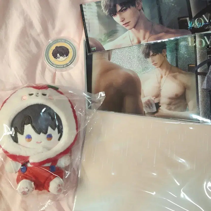 [BUNJANG] Love and Deepspace 2025 VIP Korea Version Howoo Split Set / 러브앤딥스페이스 2025년 VIP 한국판 하우주 소분 양도 (럽딥)