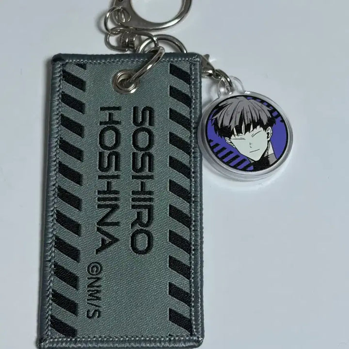 [BUNJANG] Kaiju No. 8 Hoshina Emblem Keychain / 괴수 8호 호시나 앰블럼 키링