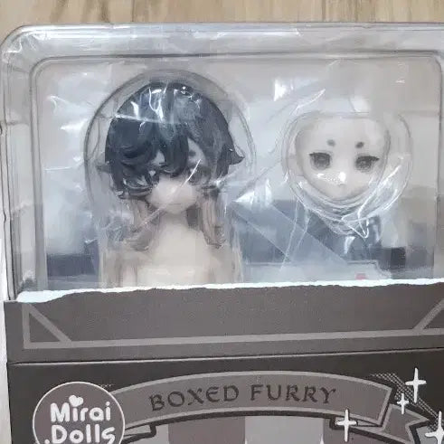 [BUNJANG] MIRAIDON 1/8 Boxed Furry Scenic BJD / 미라이돈 1/8 박스드퍼리 bjd 시닉