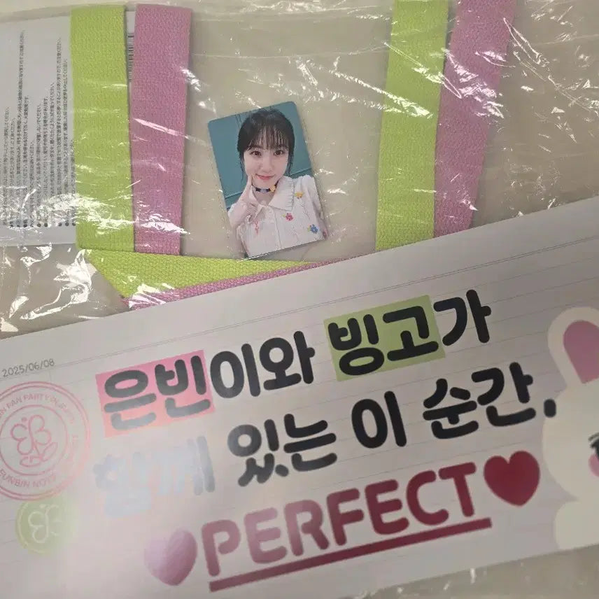 [BUNJANG] Park Eun Bin Perfect Silicone Clear Bag + Photocard (Sealed) / 박은빈 퍼펙트 실리콘 클리어백 (미개봉) + 포카