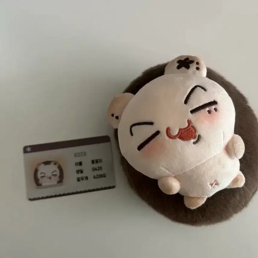 [BUNJANG] ENHYPEN Jay Jjongmong Doll / 엔하이픈 제이 쫑몽치 인형 양도(+입양증