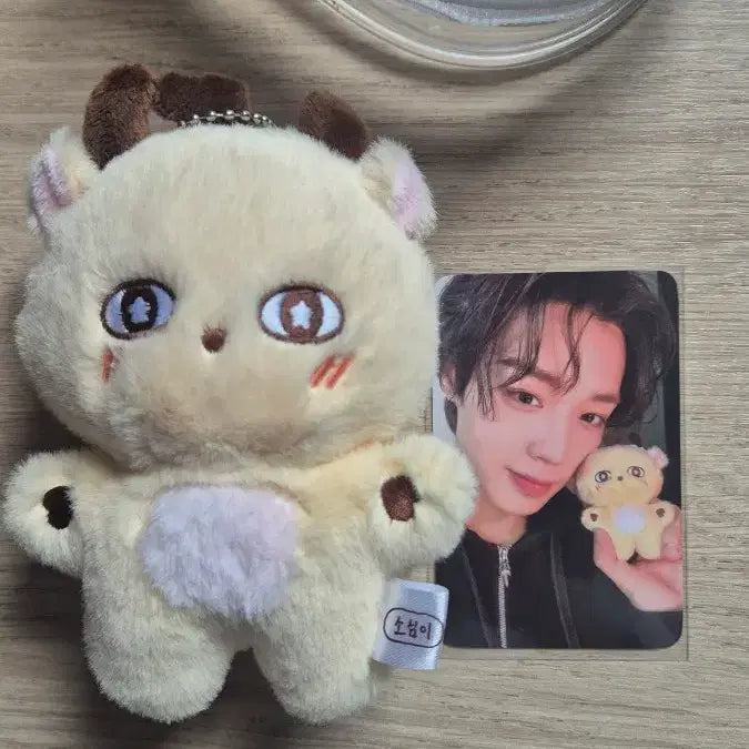 [BUNJANG] Park Jihoon Soosimi Doll Photocard Bundle Set / 급처) 소심이 인형