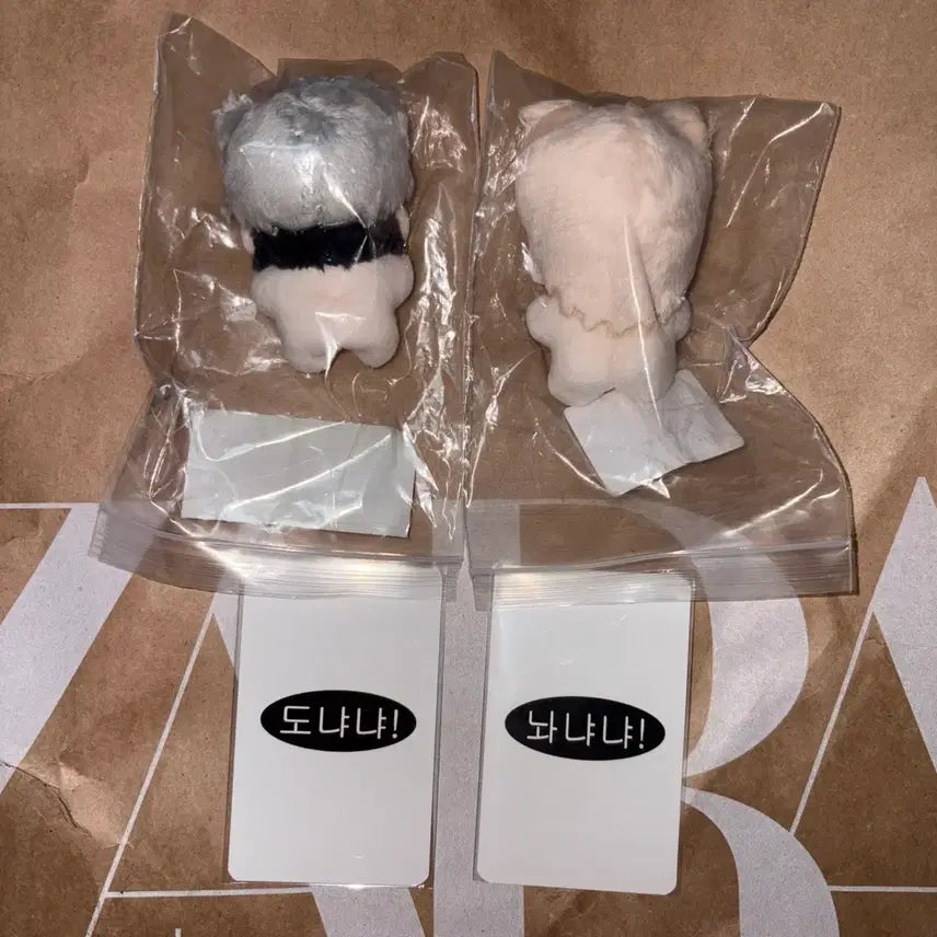 [BUNJANG] Plaive Noah Eunho Unofficial Donya Donya Nwa Nya Nya Bundle Set Photocard (Sealed) / 플레이브 노아 은호 비공식 도냐냐 놔냐냐 특전 일괄 미개봉