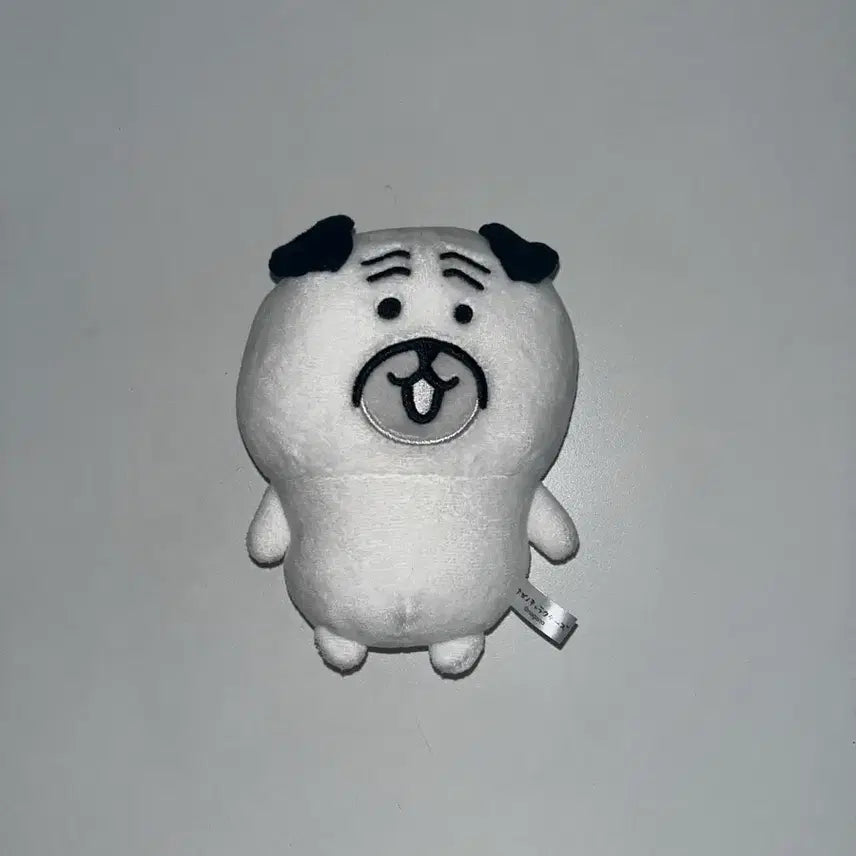 [BUNJANG] Nagano Pug Character Plush Doll / 나가노 퍼그상 인형 누이 퍼그 농담곰