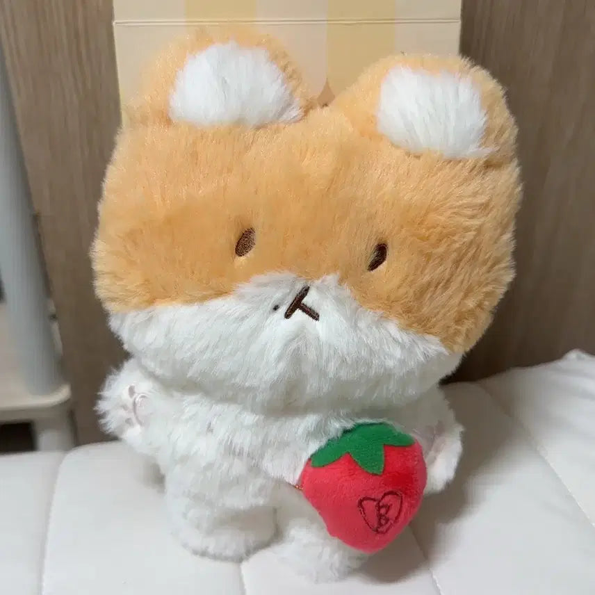 [BUNJANG] Baekhyun &