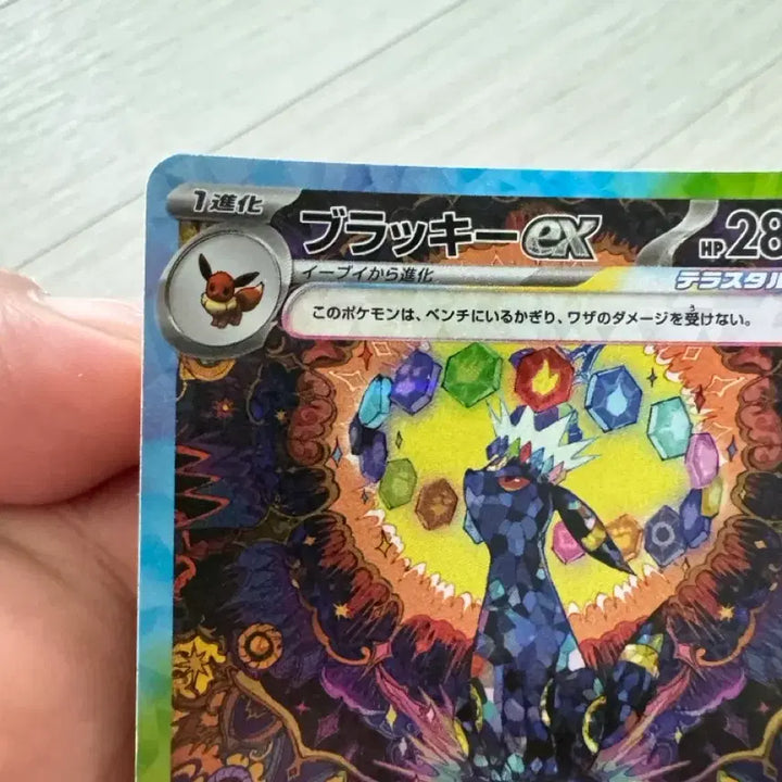 [BUNJANG] Pokemon Japanese Blacky SAR / 포켓몬 카드 일본판 블래키 sar판매
