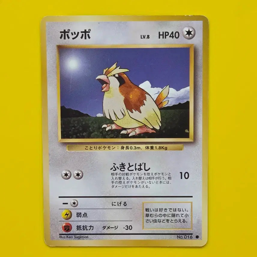 [BUNJANG] Pokemon Card 1996 Pidgey First Edition Japanese / 포켓몬카드 1996 구구 초기 카드 일판 일본판