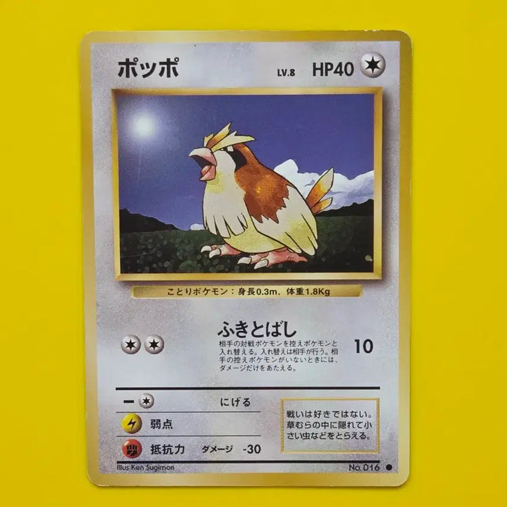 [BUNJANG] Pokemon Card 1996 Pidgey First Edition Japanese / 포켓몬카드 1996 구구 초기 카드 일판 일본판