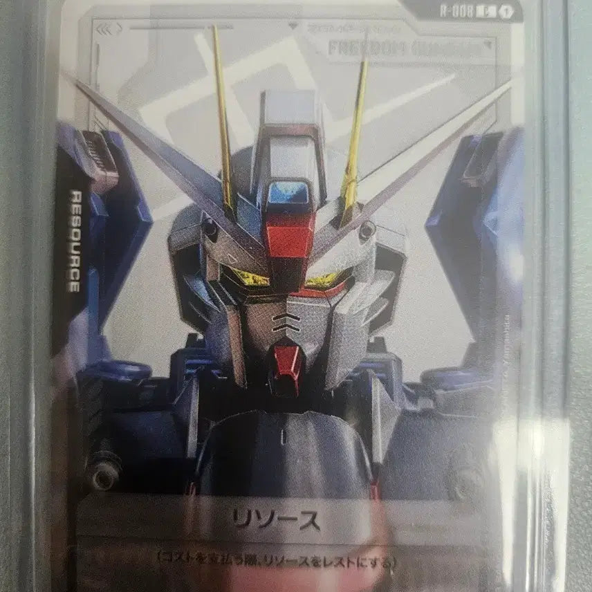 [BUNJANG] Bandai Master Grade Freedom Gundam / 건담 프리덤
