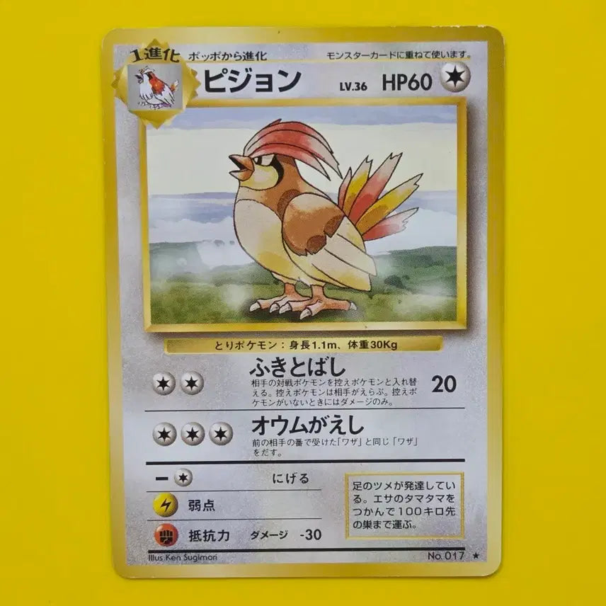 [BUNJANG] Pokemon Card 1996 Pidgeon Original Japanese / 포켓몬카드 1996 피죤 초기카드 일판 일본판