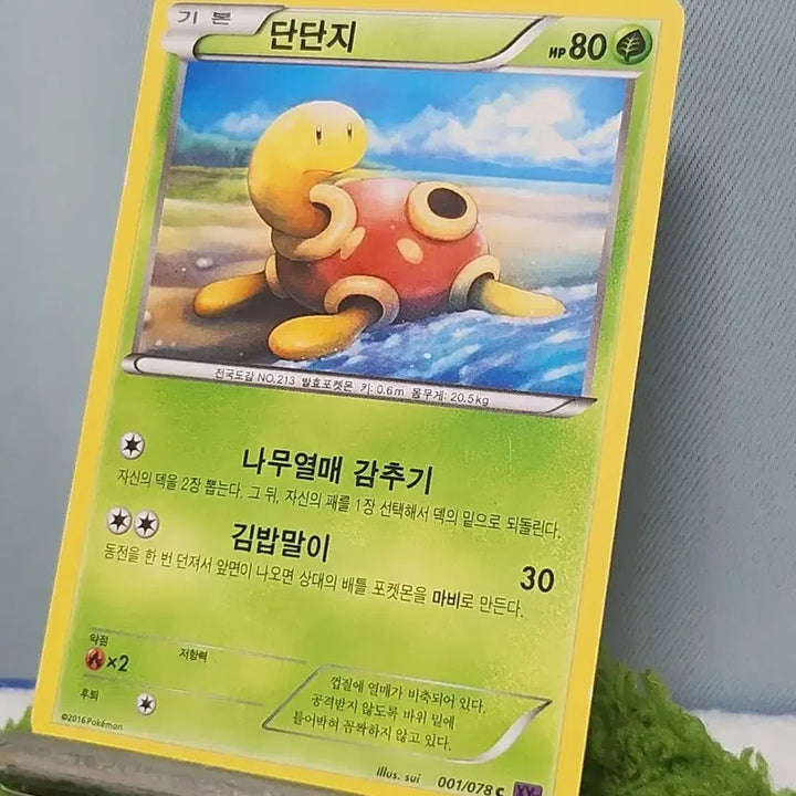 [BUNJANG] Tandani 2016 Korean Edition Pokemon Card / 단단지 2016 한글판 포켓몬 카드