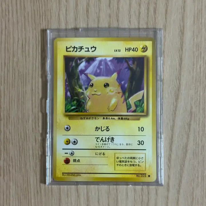 [BUNJANG] Pikachu Pokemon Card / 피카츄포켓몬카드카드팔아요