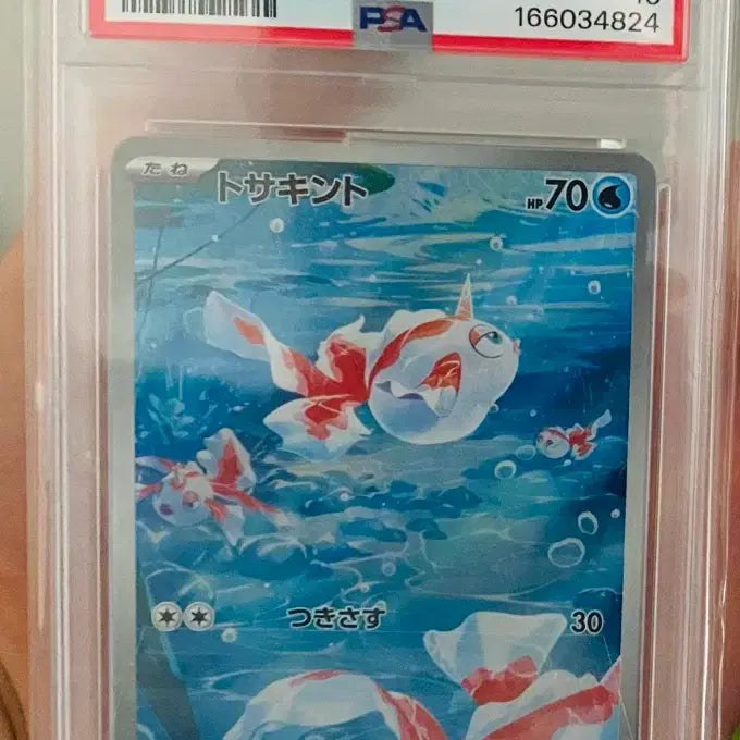 [BUNJANG] Pokemon Card Japanese Conch AR PSA 10 / 포켓몬 카드 일판 콘치 ar psa10
