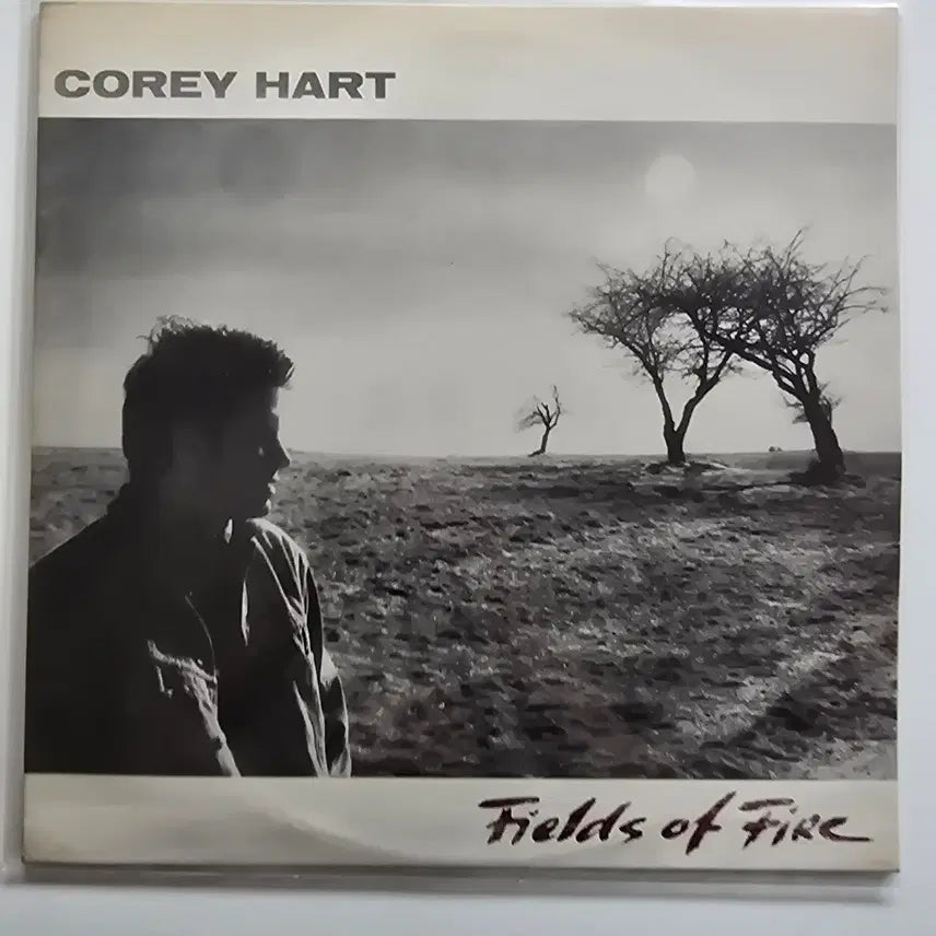 [BUNJANG] Corey Hart Fields of Fire LP / 코리 하트 Corey Hart LP / Fields of Fire /NM-/ 가사집