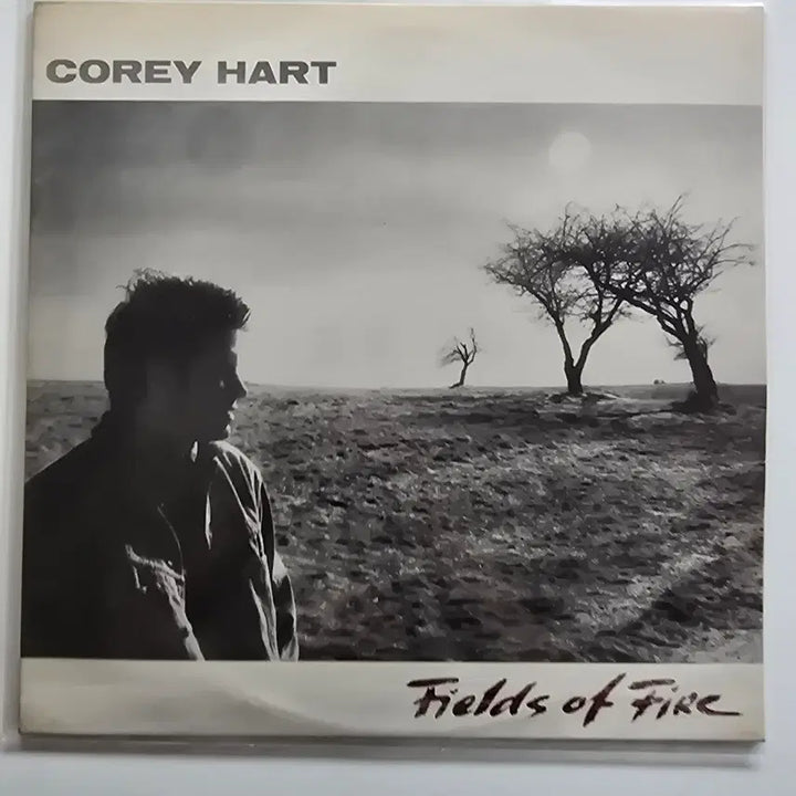 [BUNJANG] Corey Hart Fields of Fire LP / 코리 하트 Corey Hart LP / Fields of Fire /NM-/ 가사집