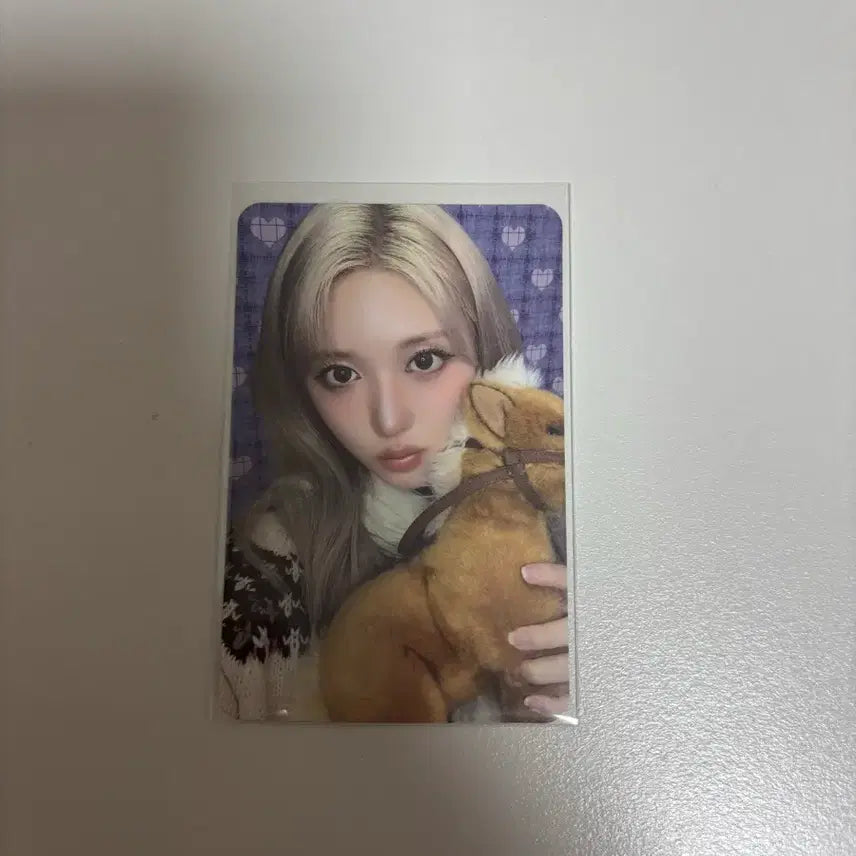 [BUNJANG] Autumn Photocard / 가을 포카
