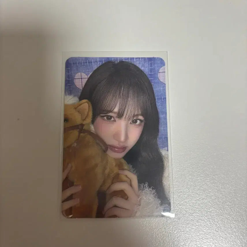 [BUNJANG] Liz Photocard / 리즈 포카