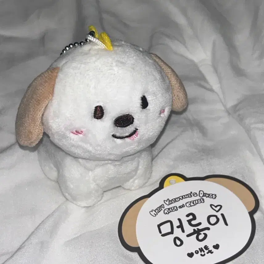 [BUNJANG] RIIZE 1st Gen "Meongryongi" Plush Toy / 라이즈 1기 멍룡이