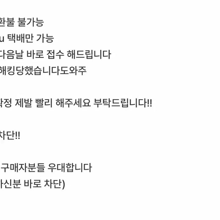 [BUNJANG] Choi Liryu Unofficial Doll / 최립우 비공굿 인형