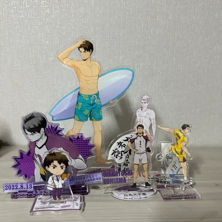 [BUNJANG] Haikyuu!! Ushijima Wakatoshi Bundle Set / 우시지마 굿즈 일괄판매