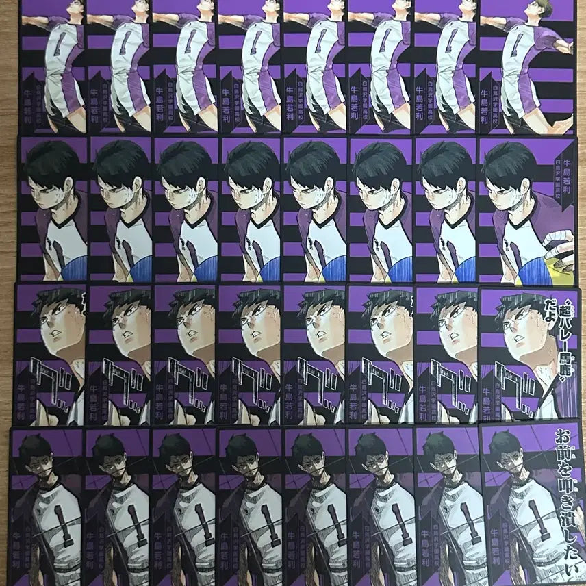 [BUNJANG] Haikyuu!! Ushijima Wakatoshi Bundle Set / 우시지마 굿즈 일괄판매