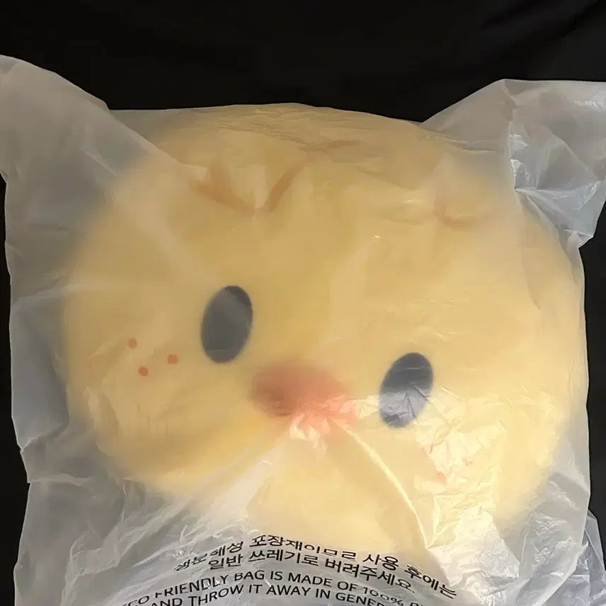 [BUNJANG] Stray Kids Bbokari Face Cushion / 스키즈 뽁아리 페이스쿠션