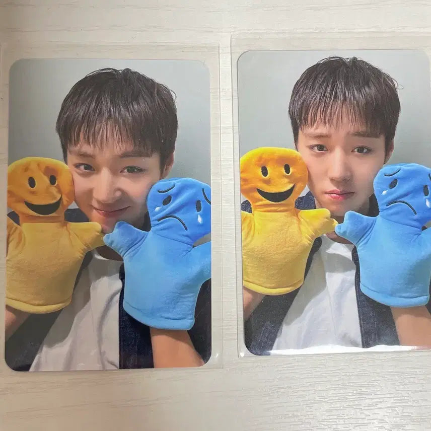 [BUNJANG] Park Jihoon WithMew Photocard Bundle Set / 박지푼 위드뮤 감정포카 일괄