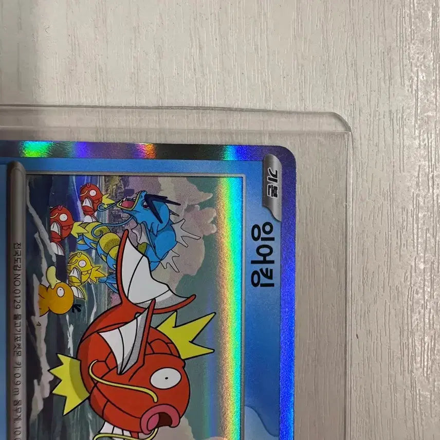 [BUNJANG] A+ Grade Magikarp Promo Card / A+급 잉어킹 프로모 10 가능(사진 첨부)