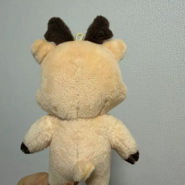 [BUNJANG] URAKBAM 10cm Fan / 우락밤 10cm 급처