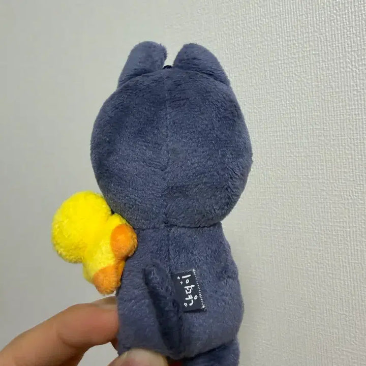 [BUNJANG] 10cm Doll / 토냥덕 10cm 급처