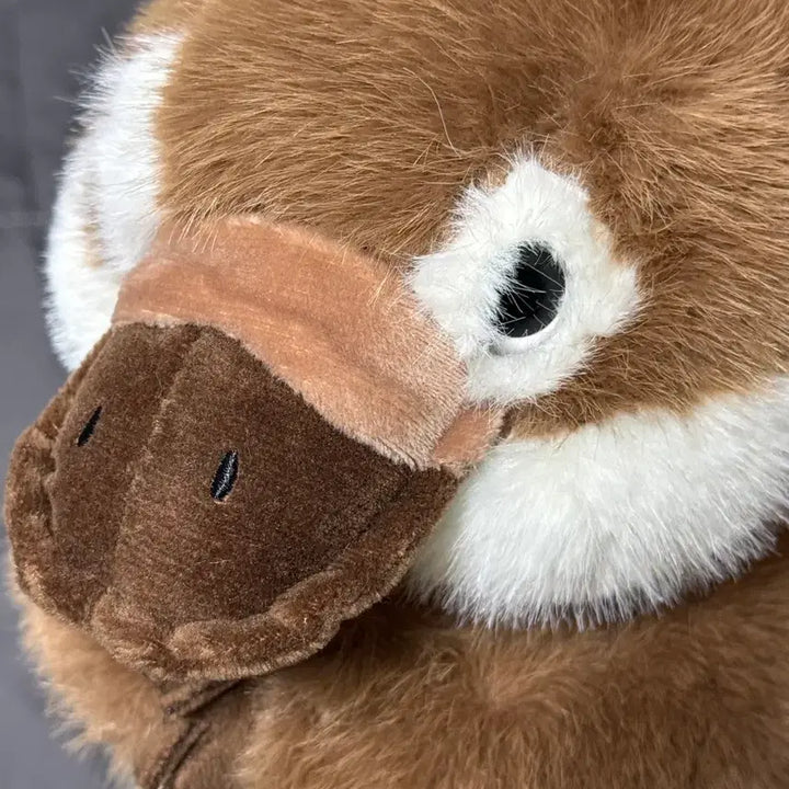 [BUNJANG] Platypus Plush Toy / 오리너구리 인형