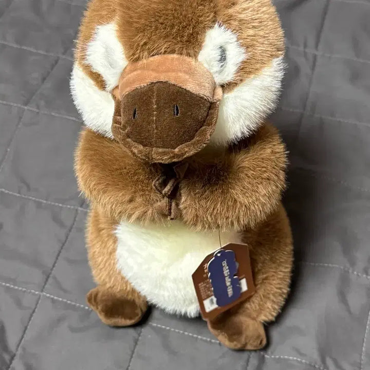 [BUNJANG] Platypus Plush Toy / 오리너구리 인형