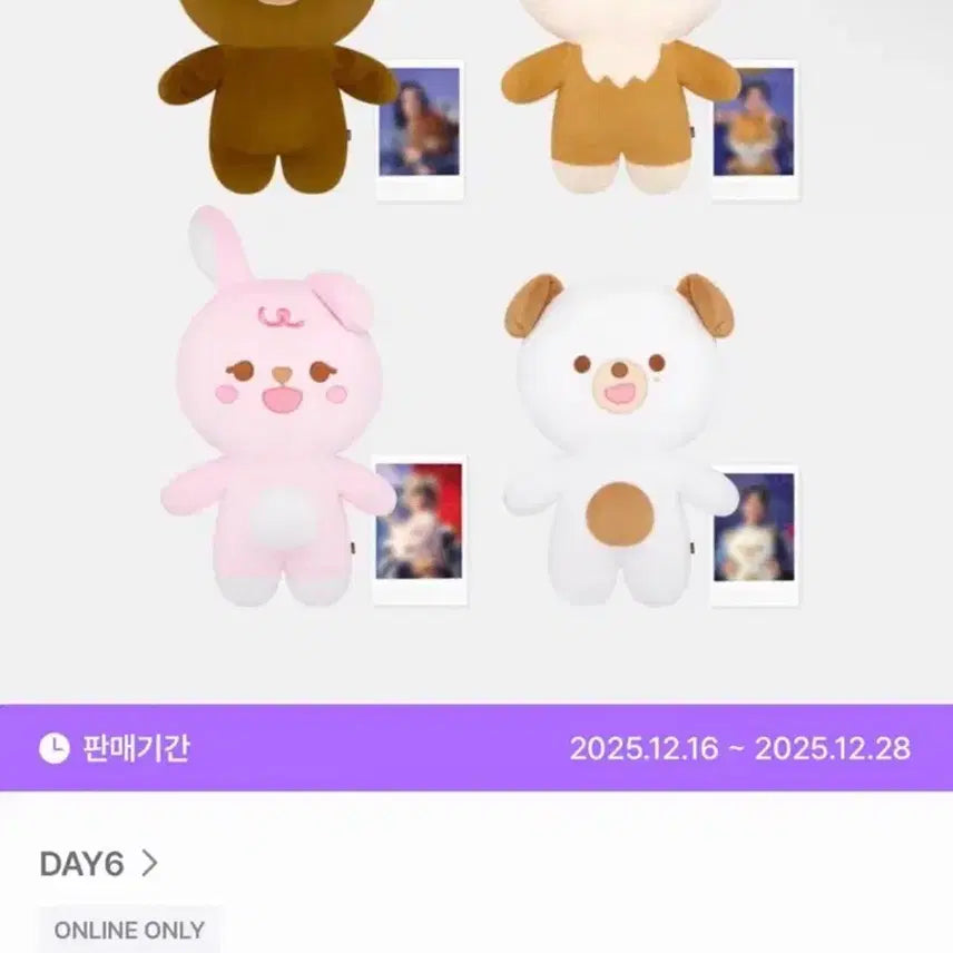 [BUNJANG] DAY6 Giant Petit Merz Don Photocard / 데이식스 자이언트 쁘띠멀즈 돈