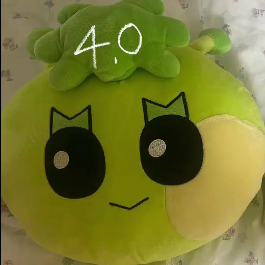 [BUNJANG] Samhanie Cushion / 가격내림) 삼한이 쿠션
