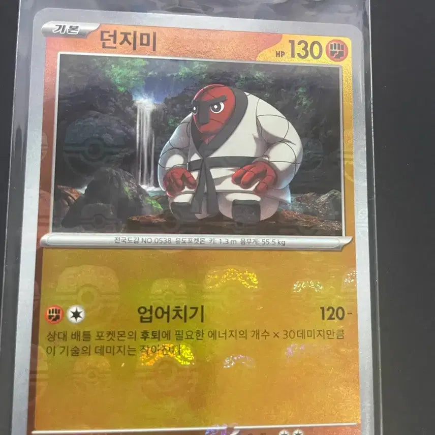 [BUNJANG] Master Ball Holo Card / 던지미 마스터볼 홀로카드 판매합니다