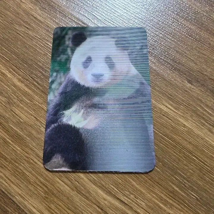 [BUNJANG] Fubao 3D Lenticular Photocard / 보고 있어도 보고싶은 우리 &