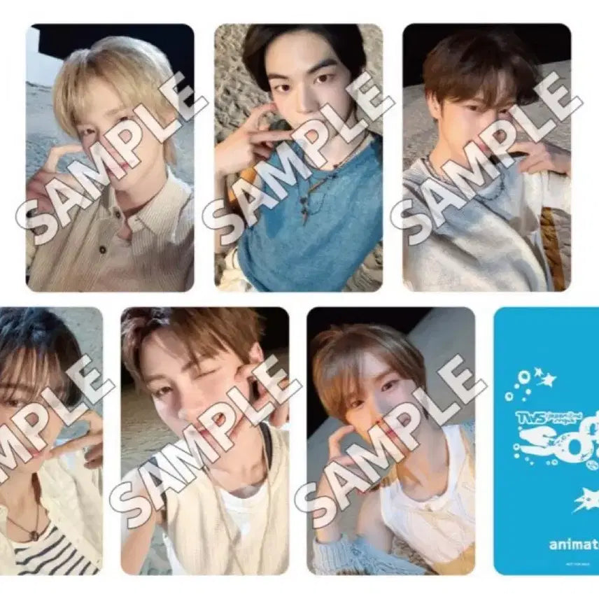 [BUNJANG] TWS Sodesoda Animate Lucky Draw Dohun Photocard / 투어스 소다소다 애니메이트 럭키드로우 도훈