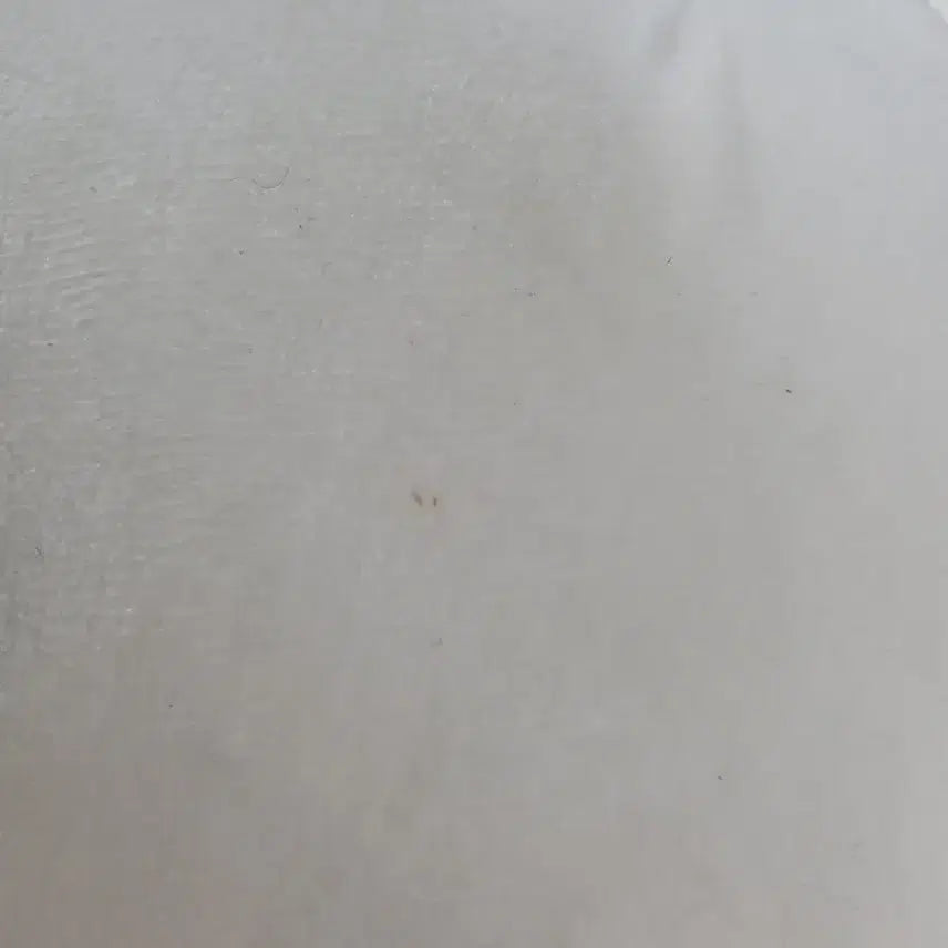 [BUNJANG] Furry Angry Joke Bear Plush / 크레인 화난 농담곰