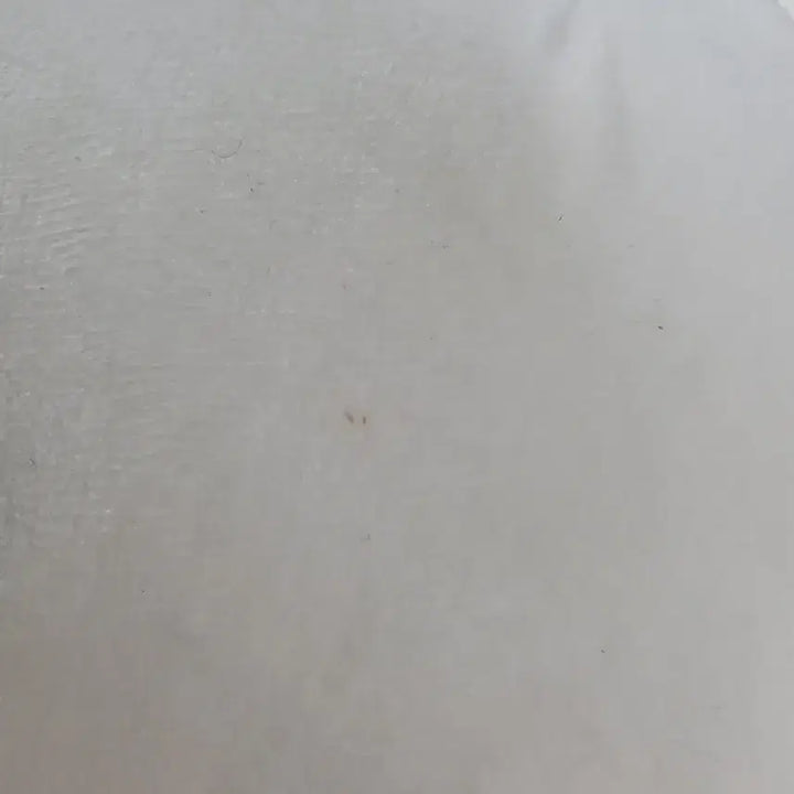 [BUNJANG] Furry Angry Joke Bear Plush / 크레인 화난 농담곰