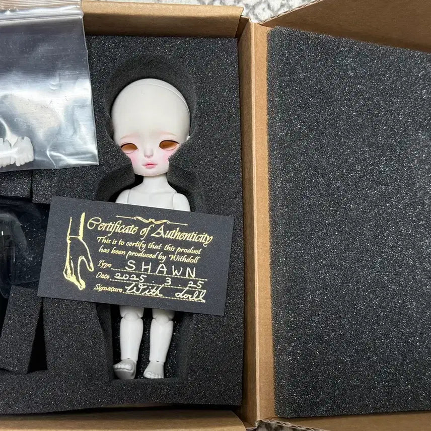 [BUNJANG] WithDoll Pocket Shaun Ball-Jointed Doll / 위드돌 포켓 숀 구체관절인형 pk