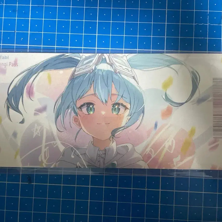 [BUNJANG] Straylive Arashi Tabi Pass Ticket Unofficial Goods / 스텔라이브 아라하시 타비 패스 티켓 비공식 굿즈 판매합니다